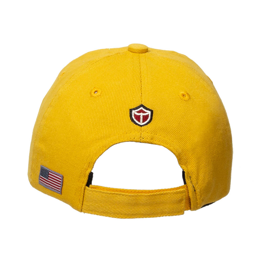 US Air Force Roundel Cap