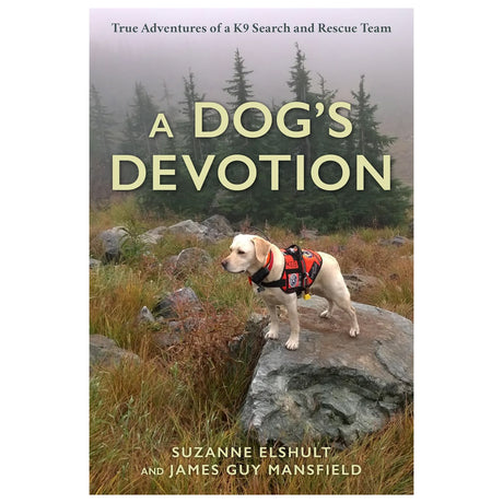A Dog's Devotion