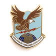 Aerospace Defense Command Pin