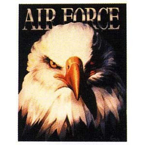 Air Force Eagle Poster