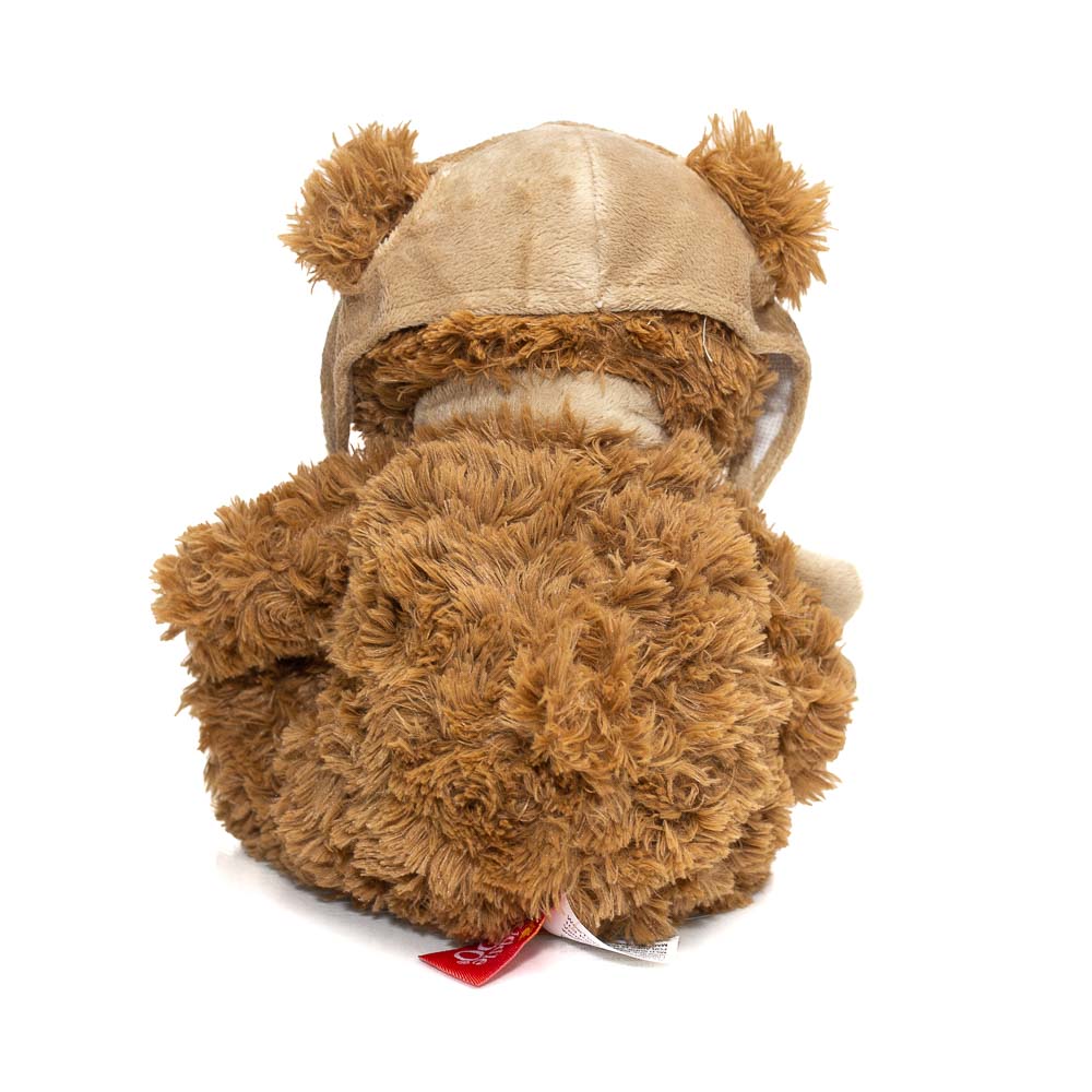 Aviator Bear Plush – Air Force Museum Store