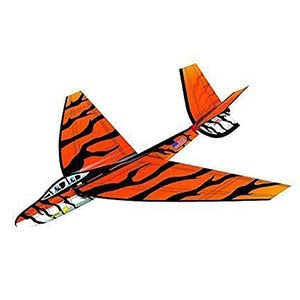 Flex Wing Glider