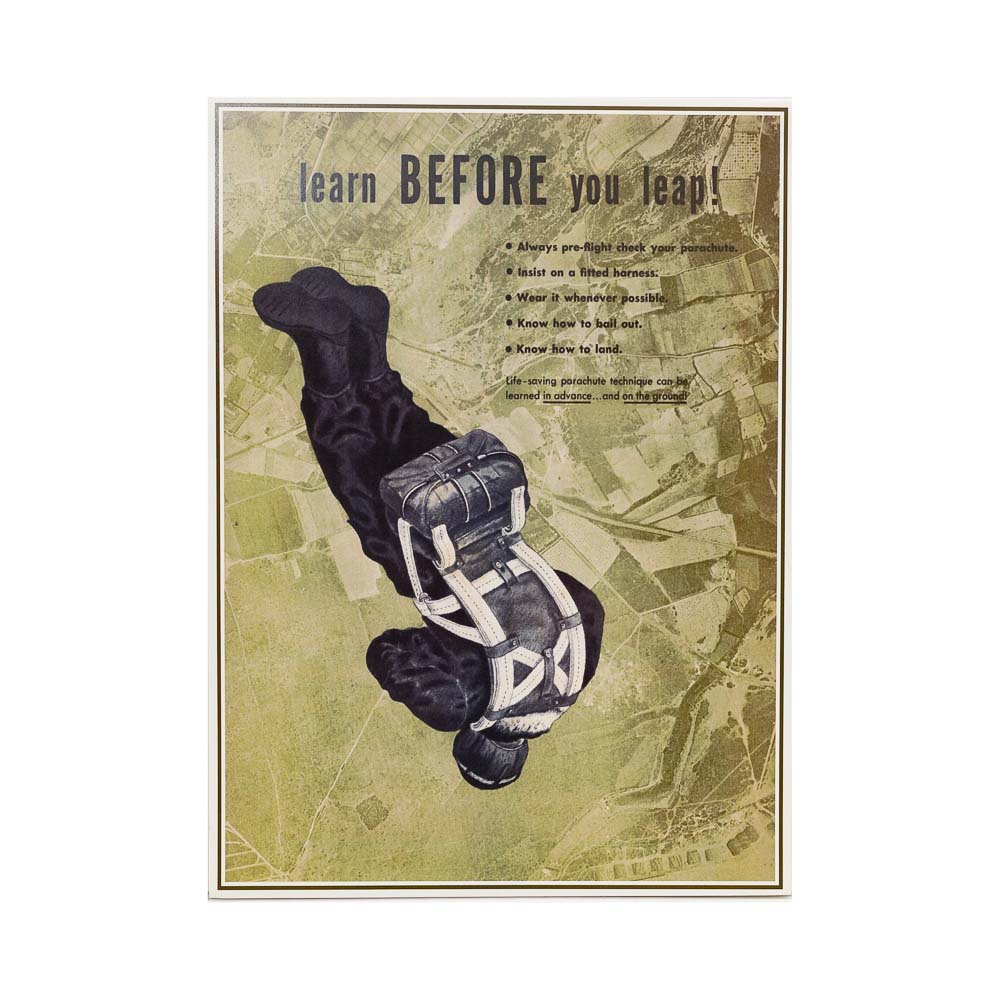 Learn Before You Leap Vintage Reproduction Poster