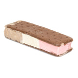 Neapolitan Astronaut Ice Cream Sandwich