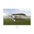 Sopwith Camel Print