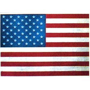 U.S. Flag Poster