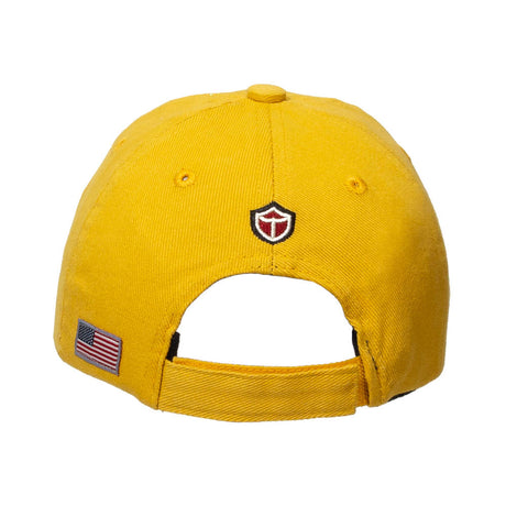 US Air Force Roundel Cap