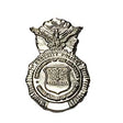 USAF Security Forces Shield Pin Polished