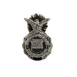 USAF Security Forces Shield Pin Polished