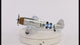 P-47 Thunderbolt Model